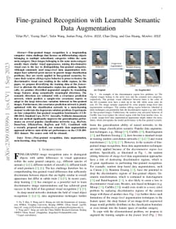 Fine-grained Recognition with Learnable Semantic Data Augmentation