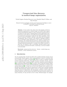 Unsupervised bias discovery in medical image segmentation