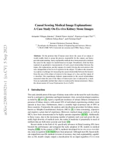 Causal Scoring Medical Image Explanations: A Case Study On Ex-vivo
  Kidney Stone Images