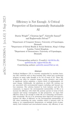 Efficiency is Not Enough: A Critical Perspective of Environmentally Sustainable AI