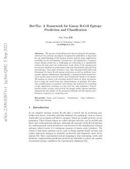 BeeTLe: A Framework for Linear B-Cell Epitope Prediction and
  Classification