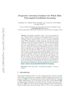 Progressive Attention Guidance for Whole Slide Vulvovaginal Candidiasis
  Screening