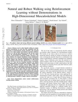 Natural and Robust Walking using Reinforcement Learning without
  Demonstrations in High-Dimensional Musculoskeletal Models