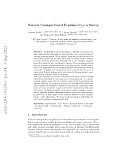 Natural Example-Based Explainability: a Survey