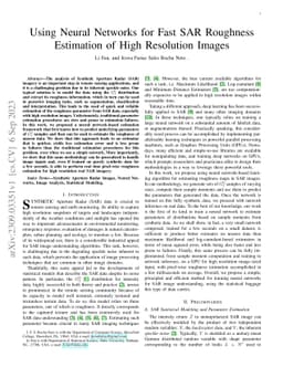 Using Neural Networks for Fast SAR Roughness Estimation of High
  Resolution Images