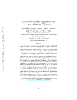 Kidney abnormality segmentation in thorax-abdomen CT scans