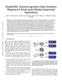 BroadCAM: Outcome-agnostic Class Activation Mapping for Small-scale
  Weakly Supervised Applications