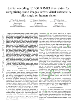 Spatial encoding of BOLD fMRI time series for categorizing static images
  across visual datasets: A pilot study on human vision