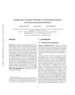 Insights Into the Inner Workings of Transformer Models for Protein
  Function Prediction