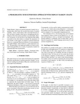 A Probabilistic Semi-Supervised Approach with Triplet Markov Chains