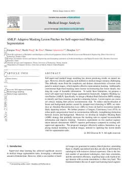 AMLP:Adaptive Masking Lesion Patches for Self-supervised Medical Image
  Segmentation