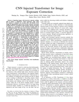 CNN Injected Transformer for Image Exposure Correction