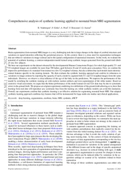 Comprehensive analysis of synthetic learning applied to neonatal brain
  MRI segmentation