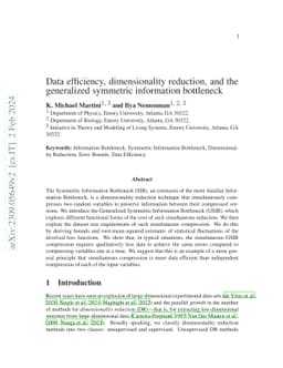 Data efficiency, dimensionality reduction, and the generalized symmetric
  information bottleneck