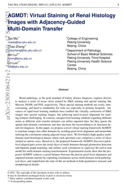 AGMDT: Virtual Staining of Renal Histology Images with Adjacency-Guided
  Multi-Domain Transfer