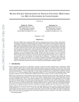 Blind Source Separation of Single-Channel Mixtures via Multi-Encoder
  Autoencoders