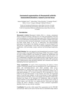 Automated segmentation of rheumatoid arthritis immunohistochemistry
  stained synovial tissue