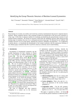 Identifying the Group-Theoretic Structure of Machine-Learned Symmetries