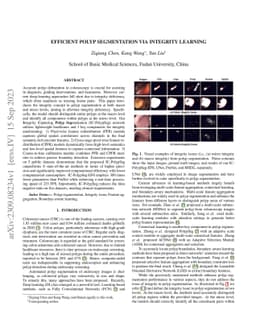 Efficient Polyp Segmentation Via Integrity Learning