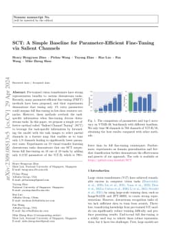 SCT: A Simple Baseline for Parameter-Efficient Fine-Tuning via Salient
  Channels