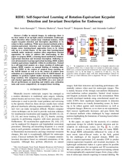 RIDE: Self-Supervised Learning of Rotation-Equivariant Keypoint
  Detection and Invariant Description for Endoscopy