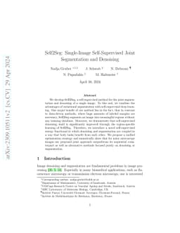 Self2Seg: Single-Image Self-Supervised Joint Segmentation and Denoising