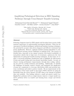 Amplifying Pathological Detection in EEG Signaling Pathways through
  Cross-Dataset Transfer Learning