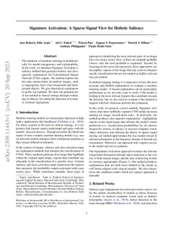 Signature Activation: A Sparse Signal View for Holistic Saliency