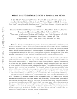 When is a Foundation Model a Foundation Model