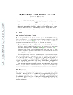 FP-PET: Large Model, Multiple Loss And Focused Practice