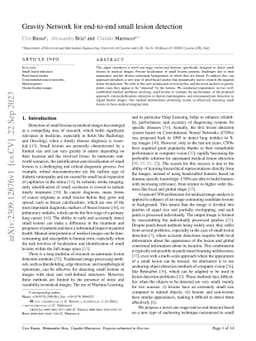 Gravity Network for end-to-end small lesion detection