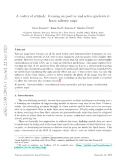 A matter of attitude: Focusing on positive and active gradients to boost
  saliency maps