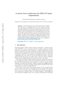 A mirror-Unet architecture for PET/CT lesion segmentation