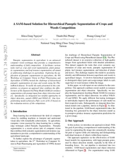 A SAM-based Solution for Hierarchical Panoptic Segmentation of Crops and
  Weeds Competition