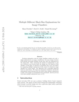 Multiple Different Black Box Explanations for Image Classifiers
