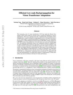 Efficient Low-rank Backpropagation for Vision Transformer Adaptation