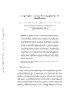 A Topological Machine Learning Pipeline for Classification