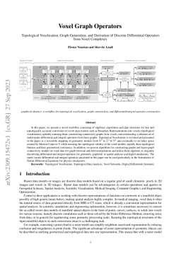 Voxel Graph Operators: Topological Voxelization, Graph Generation, and
  Derivation of Discrete Differential Operators from Voxel Complexes