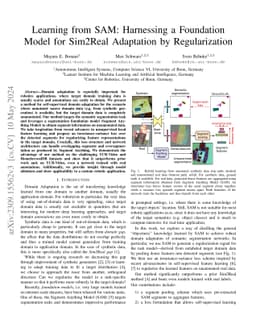 Learning from SAM: Harnessing a Foundation Model for Sim2Real Adaptation
  by Regularization