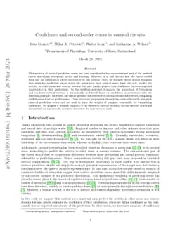 Confidence and second-order errors in cortical circuits