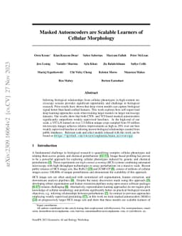 Masked Autoencoders are Scalable Learners of Cellular Morphology