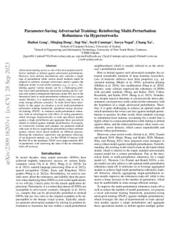 Parameter-Saving Adversarial Training: Reinforcing Multi-Perturbation
  Robustness via Hypernetworks
