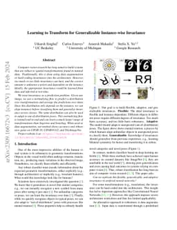 Learning to Transform for Generalizable Instance-wise Invariance