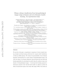Glioma subtype classification from histopathological images using
  in-domain and out-of-domain transfer learning: An experimental study