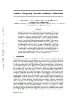 Intrinsic Biologically Plausible Adversarial Robustness