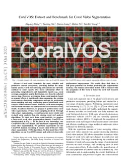 CoralVOS: Dataset and Benchmark for Coral Video Segmentation
