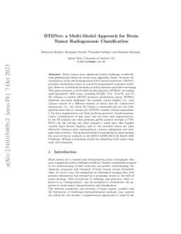 BTDNet: a Multi-Modal Approach for Brain Tumor Radiogenomic
  Classification