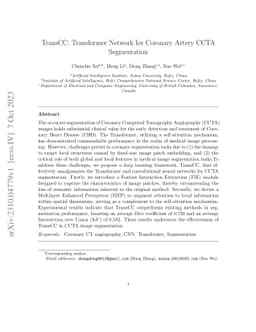 TransCC: Transformer Network for Coronary Artery CCTA Segmentation
