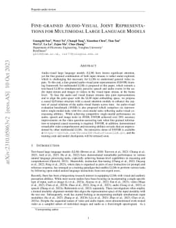 Fine-grained Audio-Visual Joint Representations for Multimodal Large
  Language Models
