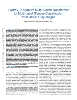 HydraViT: Adaptive Multi-Branch Transformer for Multi-Label Disease
  Classification from Chest X-ray Images